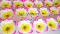 Hoa Múa Cầm Tay 030