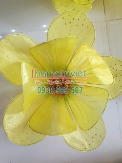 Hoa Múa Cầm Tay 033