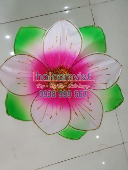 Hoa Múa Cầm Tay 034