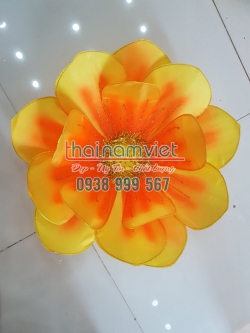 Hoa Múa Cầm Tay 038