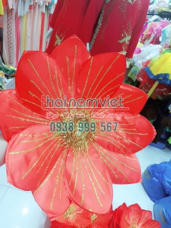 Hoa Múa Cầm Tay 042