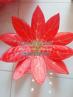 Hoa Múa Cầm Tay 043