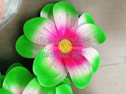 Hoa Múa Cầm Tay 047