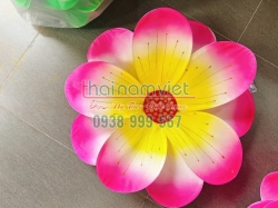 Hoa Múa cầm Tay 048