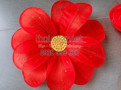 Hoa Múa Cầm Tay 050