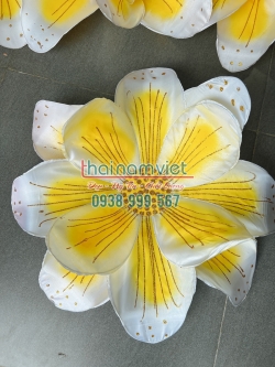 Hoa Múa Cầm Tay 056