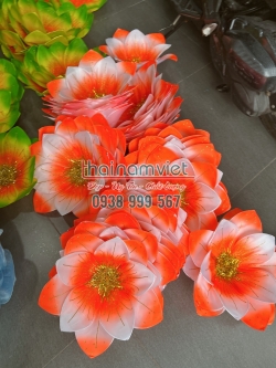 Hoa Múa Cầm Tay 066