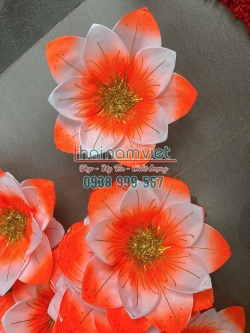 Hoa Múa Cầm Tay 066