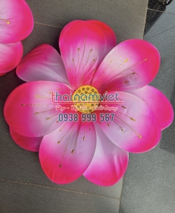 Hoa Múa Cầm Tay 068