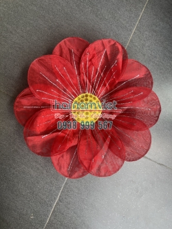 Hoa Múa Cầm Tay 070 Hoa Múa Cầm Tay 070