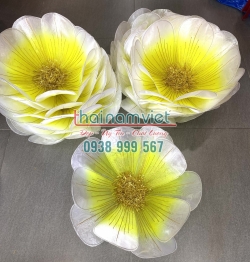 Hoa Múa Cầm Tay 071 Hoa Múa Cầm Tay 071