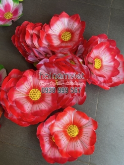 Hoa Múa Cầm Tay 072