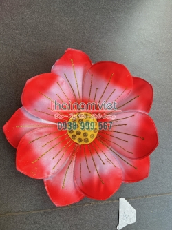 Hoa Múa Cầm Tay 072 Hoa Múa Cầm Tay 072