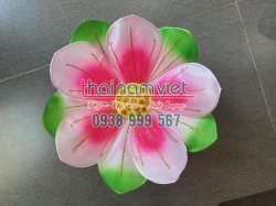 Hoa Múa Cầm Tay 073 Hoa Múa Cầm Tay 073