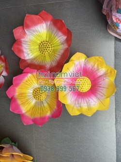 Hoa Múa Cầm Tay 074 Hoa Múa Cầm Tay 074