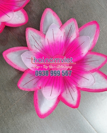 Hoa Múa Cầm Tay 079