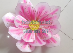 Hoa Múa Cầm Tay 039