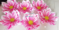 Hoa Múa Cầm Tay 039