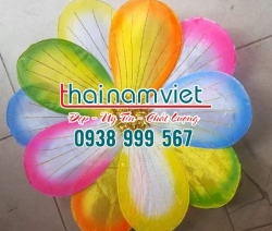 Hoa Múa Cầm Tay Ngũ Sắc