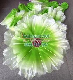 Hoa Phù Dung 004 Hoa Phù Dung 004