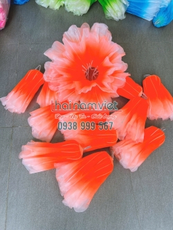 Hoa Phù Dung 005