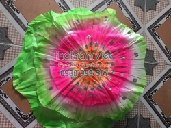 Lá Múa Cầm Tay 014