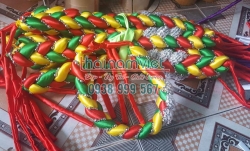 Vấn Tết Mỹ Nhân 004