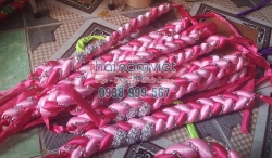 Vấn Tết Mỹ Nhân 011