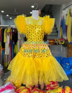 Váy Múa Trẻ Em 173