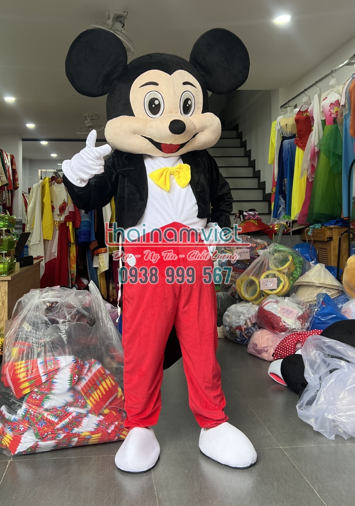Mascot Mickey Nam