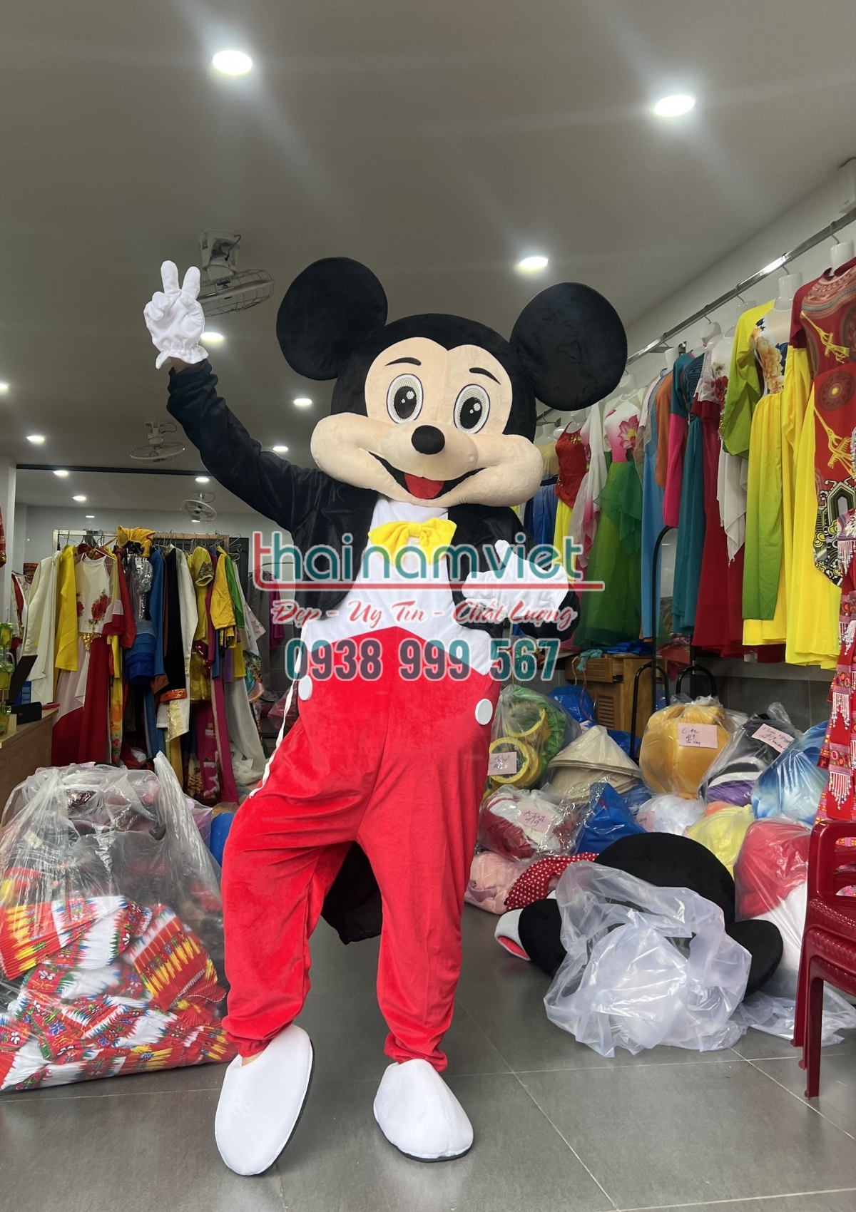 Mascot Mickey Nam